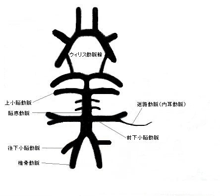 脳が原因のめまいもある ~確認すべき危険な兆候~ 第5回