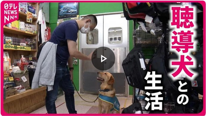 【密着】生活の“音”をサポート 聴導犬と飼い主の出会いと別れ『every.特集』