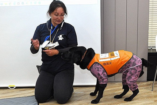 M&Aや障がい者支援に活用が期待されるAI 後継者・聴導犬の不足に対応