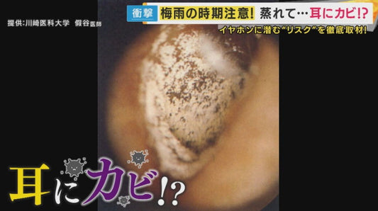 【専門医が警告】梅雨の危険!「耳の中にカビ」が生える恐怖 難聴から認知症リスクまで