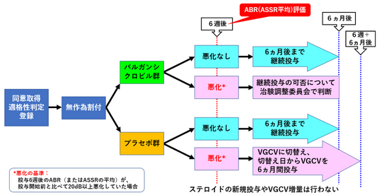 抗サイトメガロウイルス薬「バルガンシクロビル」の先天性サイトメガロウイルス感染症の遅発性難聴への医師主導治験を開始