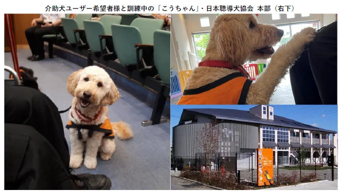 【SBI生命】社会福祉法人 日本聴導犬協会への寄付について
