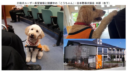【SBI生命】社会福祉法人 日本聴導犬協会への寄付について