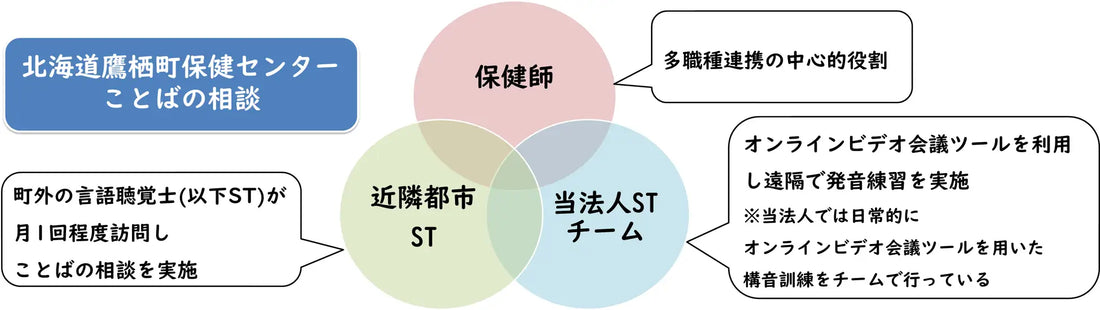 保健師、言語聴覚士と、遠隔地の言語聴覚士チームがオンラインビデオ会議ツールを用いて協働して介入を行った機能性構音障害の一例を報告