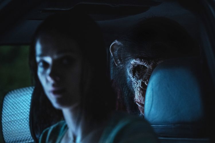 上映時間“89分”の美学。チンパンジー×狂犬病『おさるのベン』監督が語る、ホラー映画を怖くする秘訣「すべてを削ることから始める」