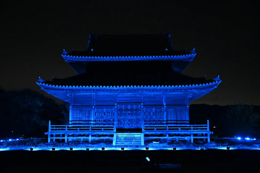 歴史感じる紀伊国分寺を「世界平和」を表す青色でライトアップ