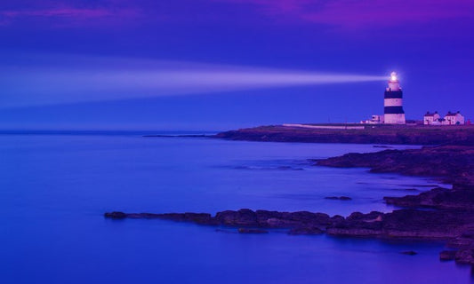 トレンドレーダー：デジタル技術が推進する人的資本経営とその未来