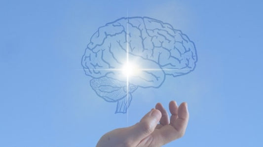 イギリスの医学界が発表！教育、空気の悪さも認知症の原因になる？