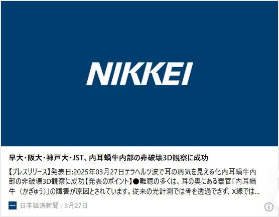 早大・阪大・神戸大・JST、内耳蝸牛内部の非破壊3D観察に成功
