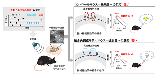 本研究の概要図