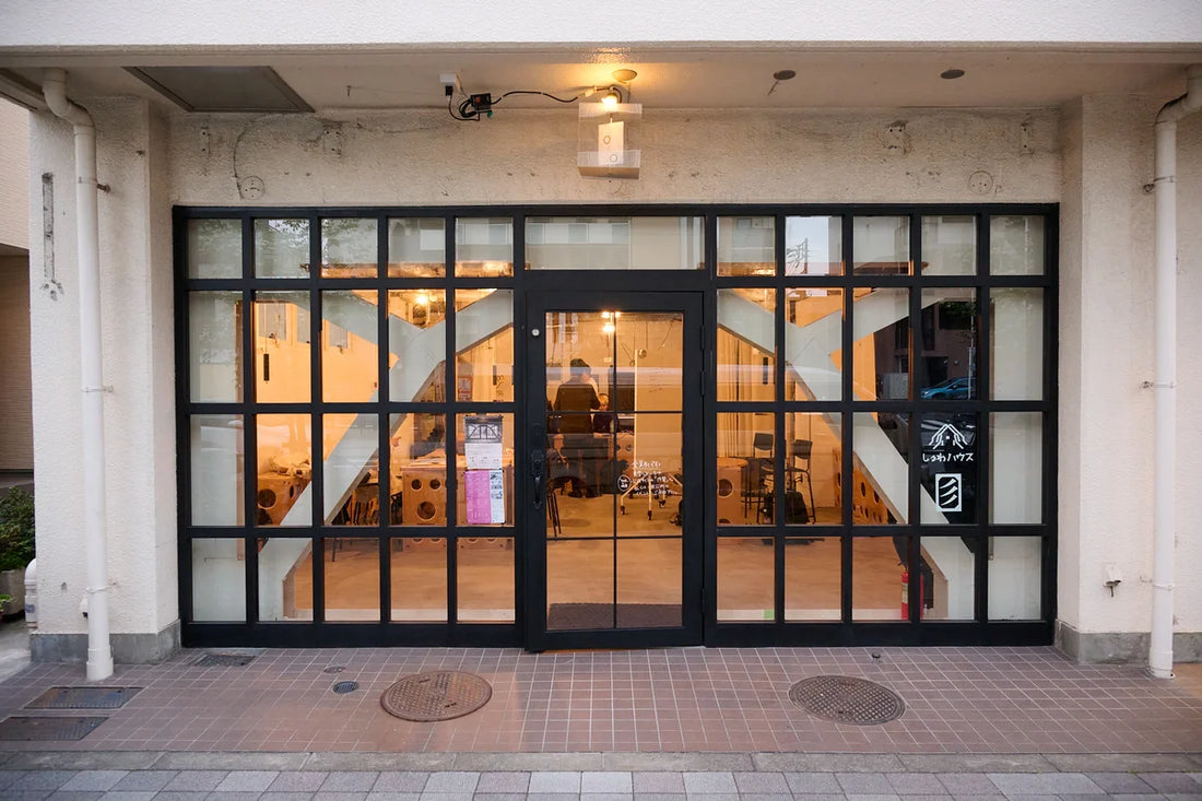 西日暮里を手話の街に。視覚表現を活かしたデフスペース「5005」