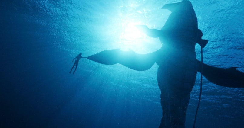 『アバター：WoW』大切に作り上げられた「海の生物」に迫る！