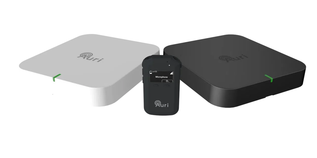 聴覚補助システム「Auri」