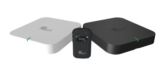 聴覚補助システム「Auri」