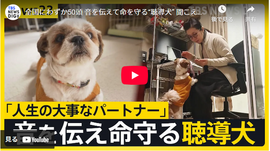 全国にわずか50頭 音を伝えて命を守る“聴導犬” 聞こえない世界を支える「人生の大事なパートナー」【news23】