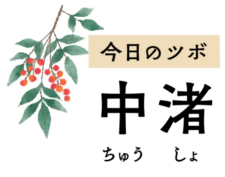 腕や肩の痛み、難聴、目の充血も緩和する「中渚」。幻の臓器と関係があります