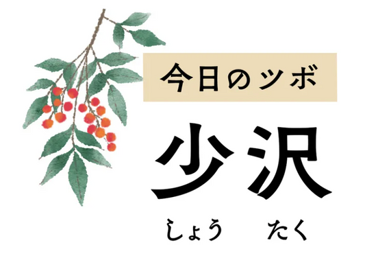 気を巡らせて肩や首の後ろ側の痛みを改善。耳鳴りや難聴にも奏効する「少沢」