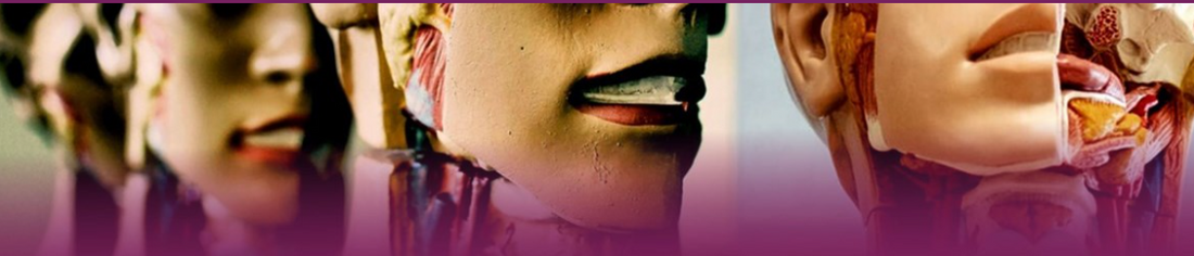 AIが音声テキスト変換アプリにおける聴覚障害者のアクセシビリティをどのように拡張しているか