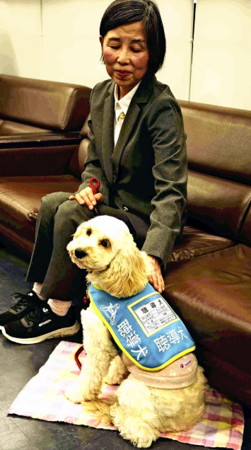 聴導犬と踏み出す一歩　県内初導入　呉の会社員に貸与