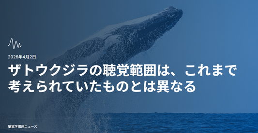 バナー「ザトウクジラの聴覚範囲は、これまで考えられていたものとは異なる」