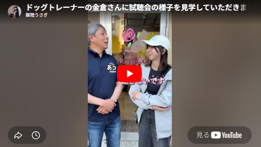 YouTubeの画面「 ドッグトレーナーの金倉さんに試聴会の様子を見学していただきました✨」