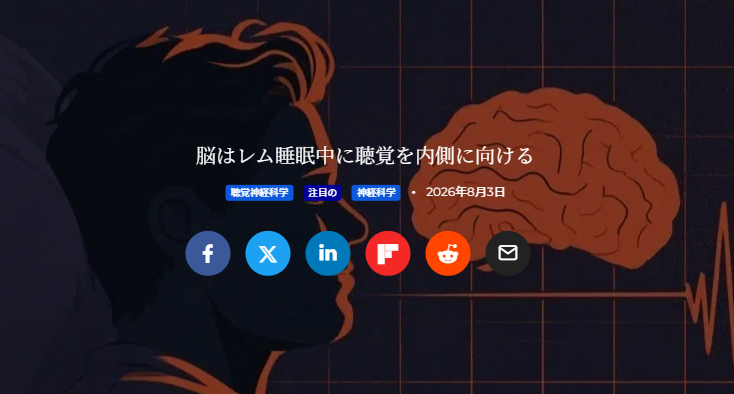 バナー「脳はレム睡眠中に聴覚を内側に向ける」