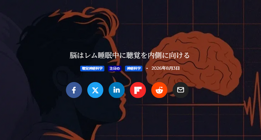 バナー「脳はレム睡眠中に聴覚を内側に向ける」