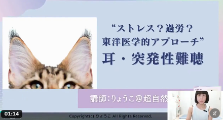 バナー「“ストレス？過労？東洋医学的アプローチ” 耳・突発性難聴」
