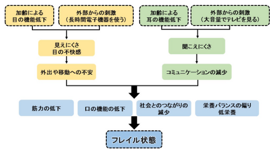 フレイルについて