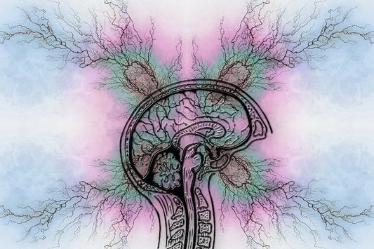 最も一般的に使用されている ADHD 薬の仕組みをよりよく理解する