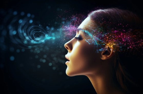 音声認識を再考する： 脳内語彙の意外な発見