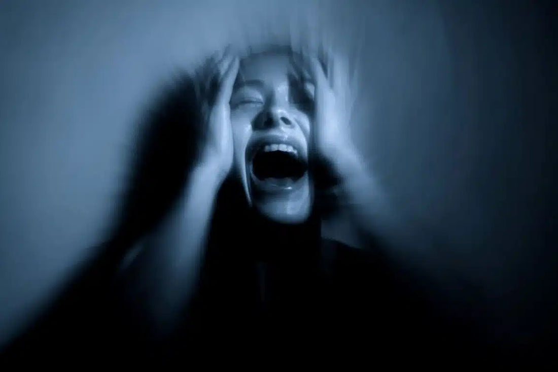 恐怖の音：怖い音に対する脳の直接的なショートカット