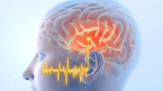 中年期の難聴と認知症：遺伝子と補聴器の使用が影響する可能性