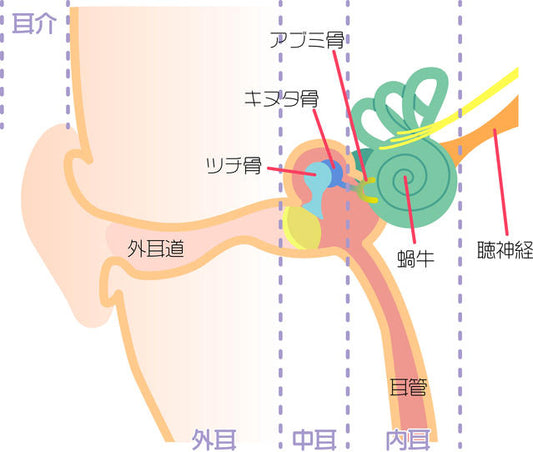 「40代で難聴になる人」と「年をとっても難聴にならない人」、一発でわかる「見た目」の違いとは？【専門医が解説】〈再配信〉