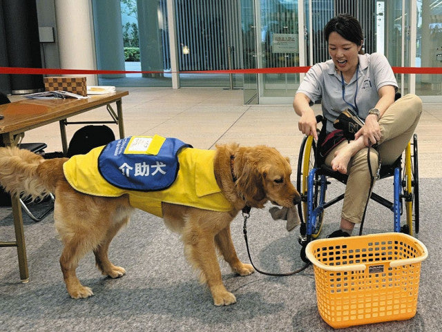 もっと知って介助犬　イベントで理解と支援呼びかけ　障害に応じて訓練　育成に高コスト