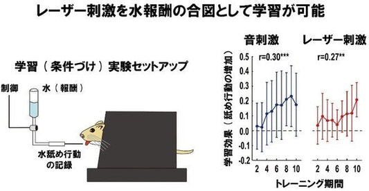 学習（条件づけ）の実験［クリックで拡大］ 出所：同志社大学
