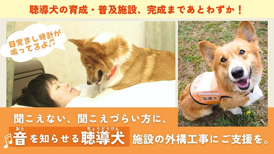 完成目前、ふじみ野市に聴導犬の育成・普及推進施設を建設したい！