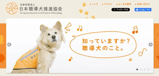 聴覚障害者の日常に潜むさまざまなリスク。アプリやAIでは代替できない聴導犬の仕事とは？